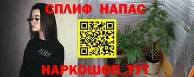 мяу мяу мука Тулун