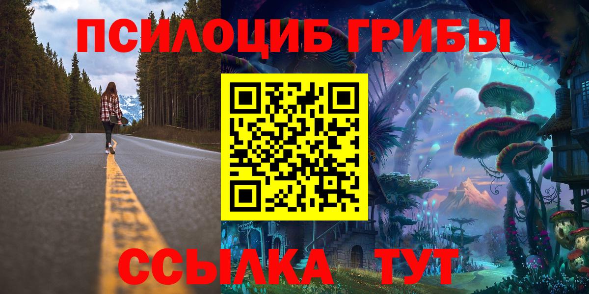 Галлюциногенные грибы прущие грибы Воронеж