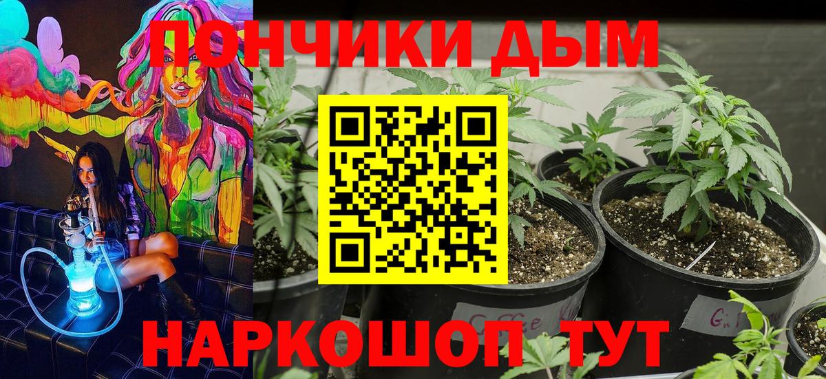 Бошки Шишки ГИДРОПОН Воронеж
